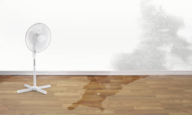  Spencer, IN Water damage restoration Pros