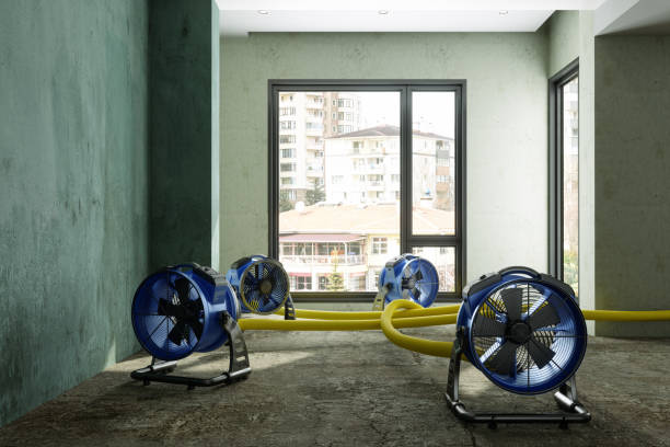Trusted Spencer, IN Water damage restoration Experts